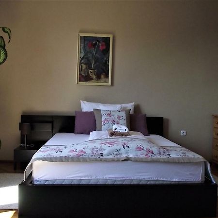 Panorama Apartman Mór المظهر الخارجي الصورة